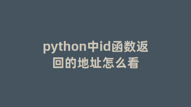 python中id函数返回的地址怎么看