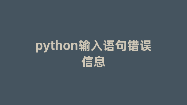 python输入语句错误信息