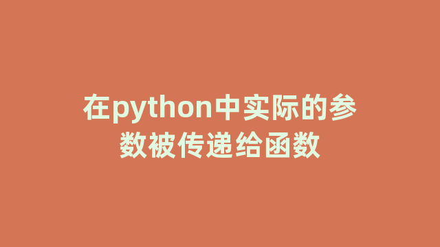 在python中实际的参数被传递给函数