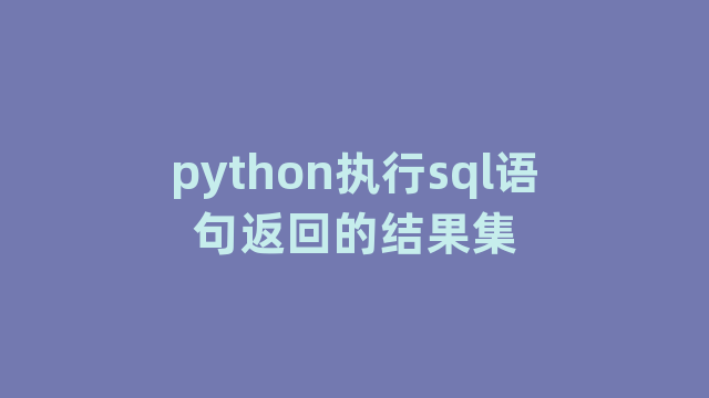 python执行sql语句返回的结果集