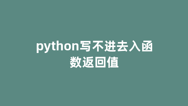 python写不进去入函数返回值
