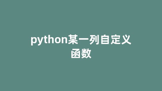 python某一列自定义函数