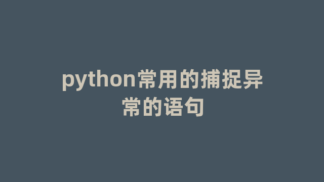 python常用的捕捉异常的语句