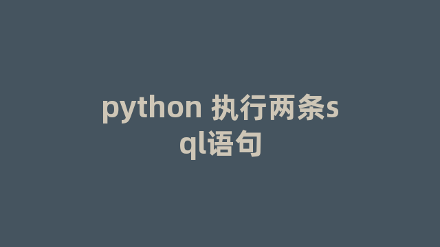 python 执行两条sql语句
