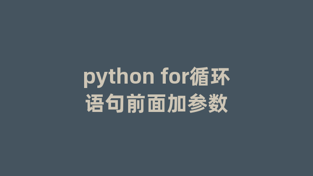 python for循环语句前面加参数