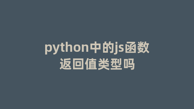 python中的js函数返回值类型吗