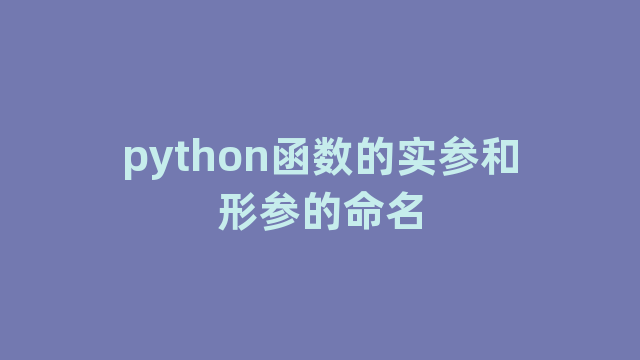 python函数的实参和形参的命名