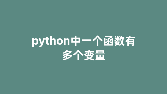 python中一个函数有多个变量
