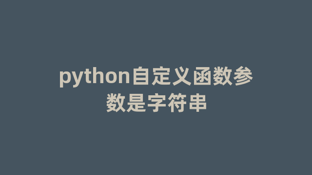 python自定义函数参数是字符串