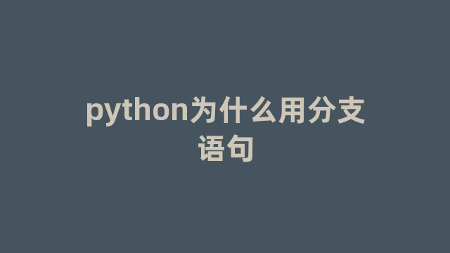 python为什么用分支语句